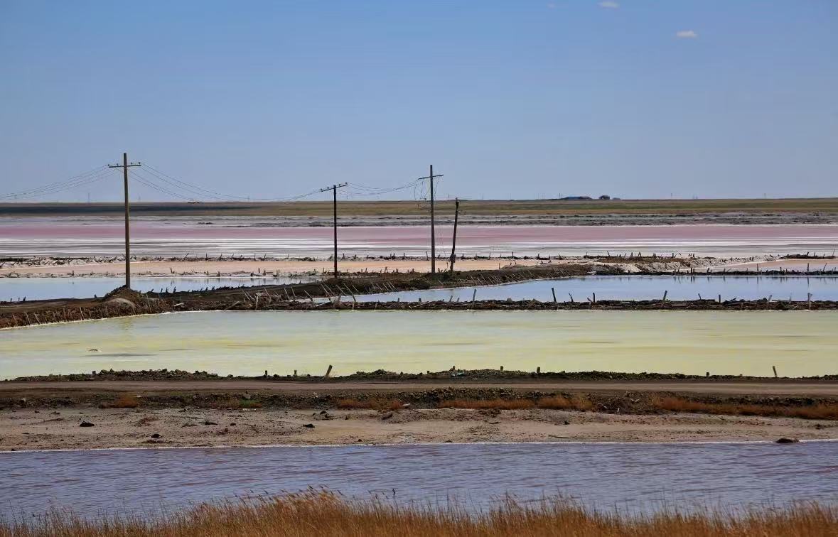 成交结果确认公告