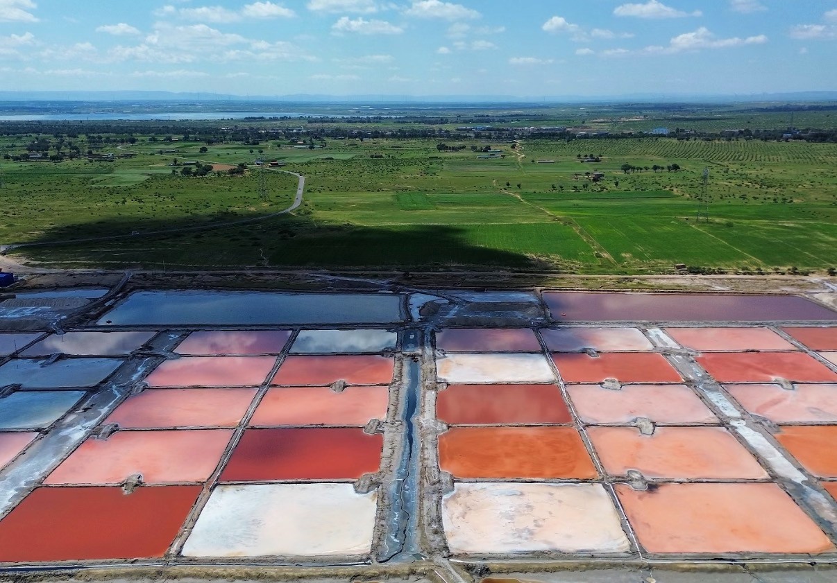 内蒙古额吉淖尔制盐有限公司 玻璃仪器校准技术服务 网上比价采购公告