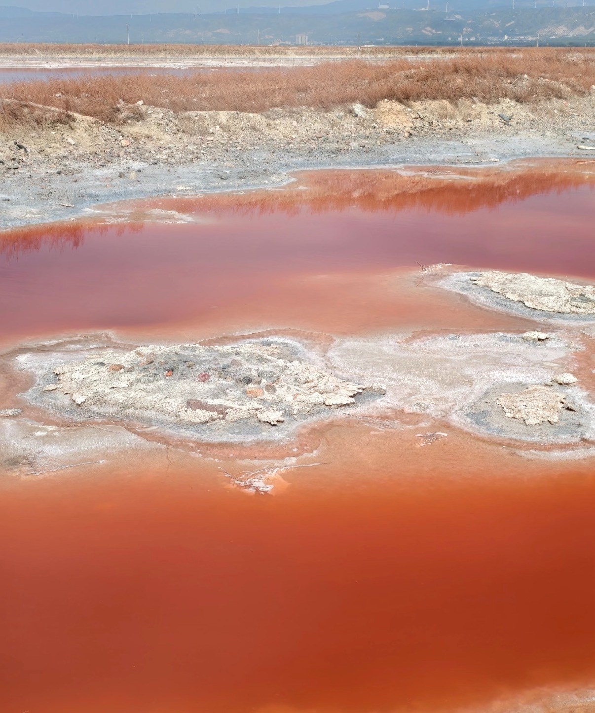 内蒙古额吉淖尔制盐有限公司棚户区主体工程和附属工程造价鉴定项目网上比价采购项目成交结果确认公告