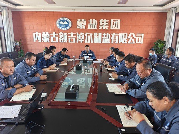 额盐公司召开党建工作领导小组会议暨树立和践行正确政绩观学习教育总结会议